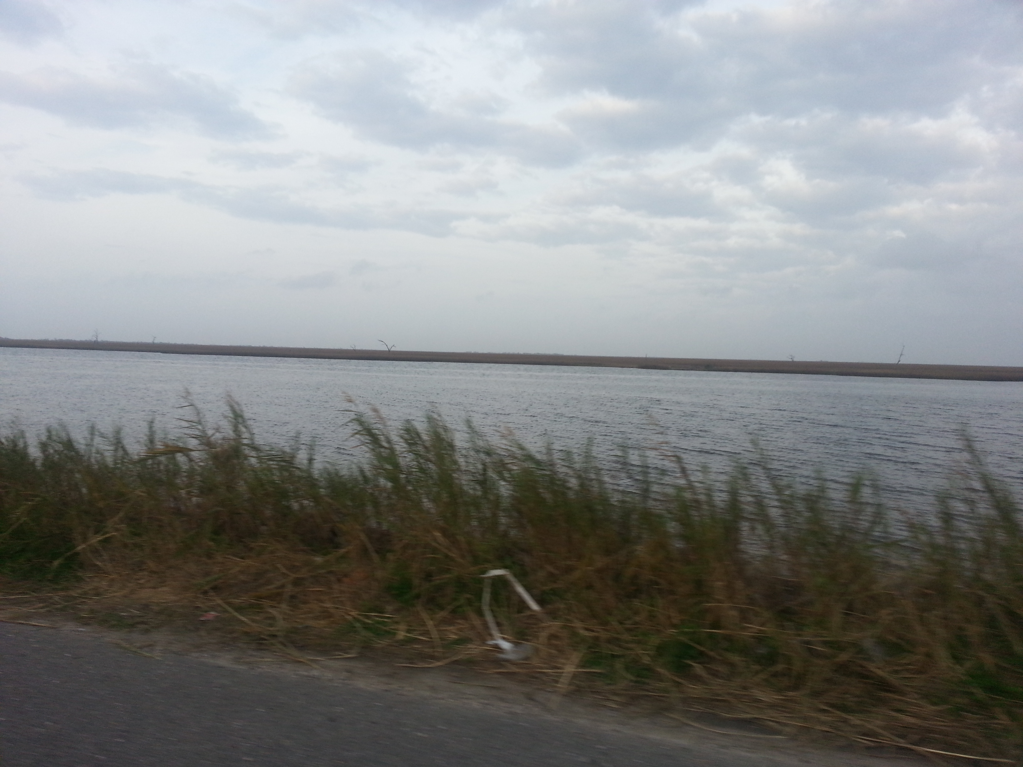 Louisiana Highway 1