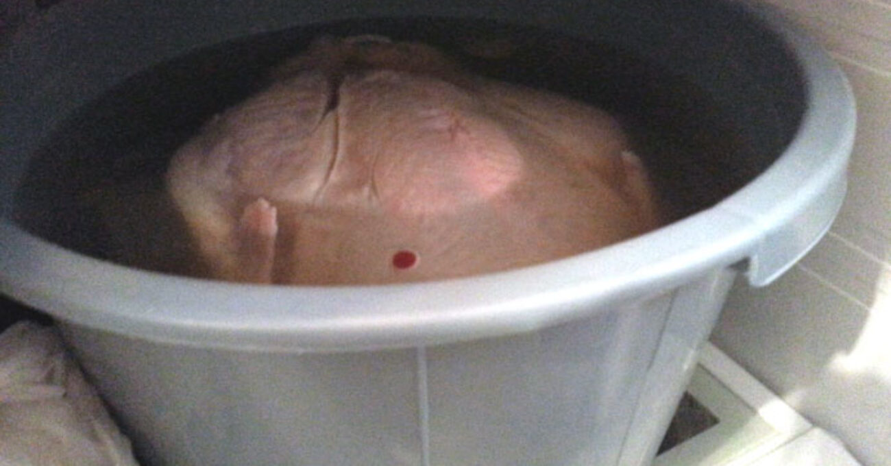 Brine Turkey