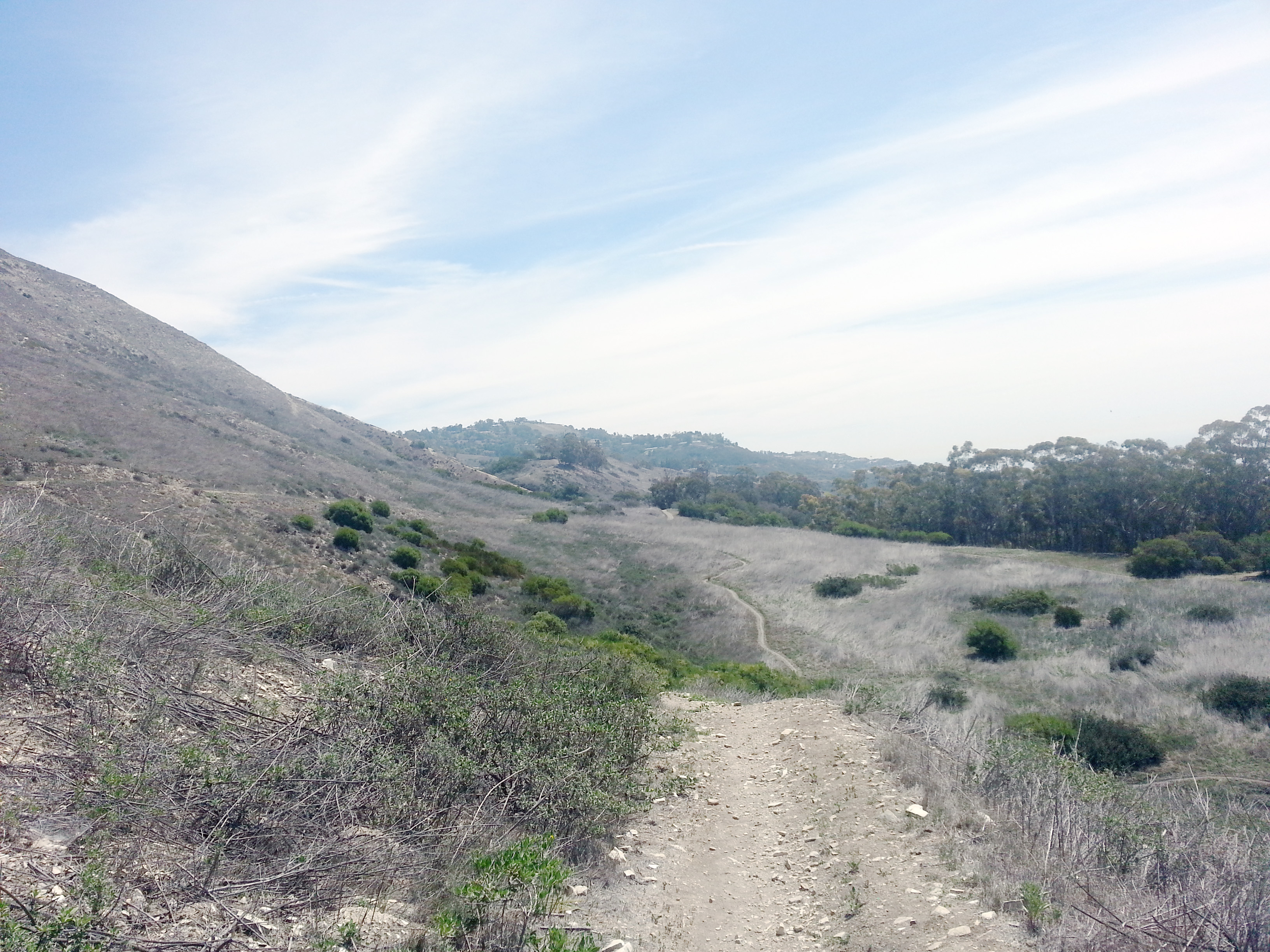 Trails