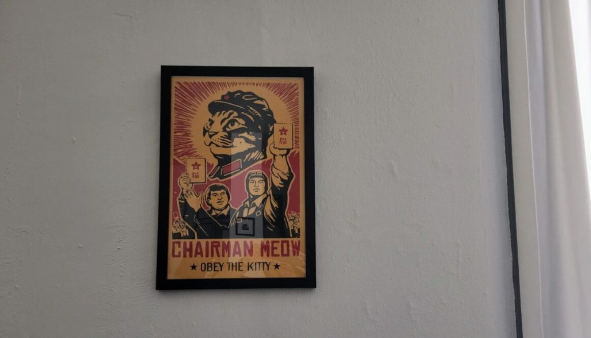 Obey the Kitty
