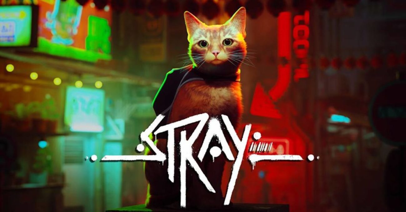 Stray